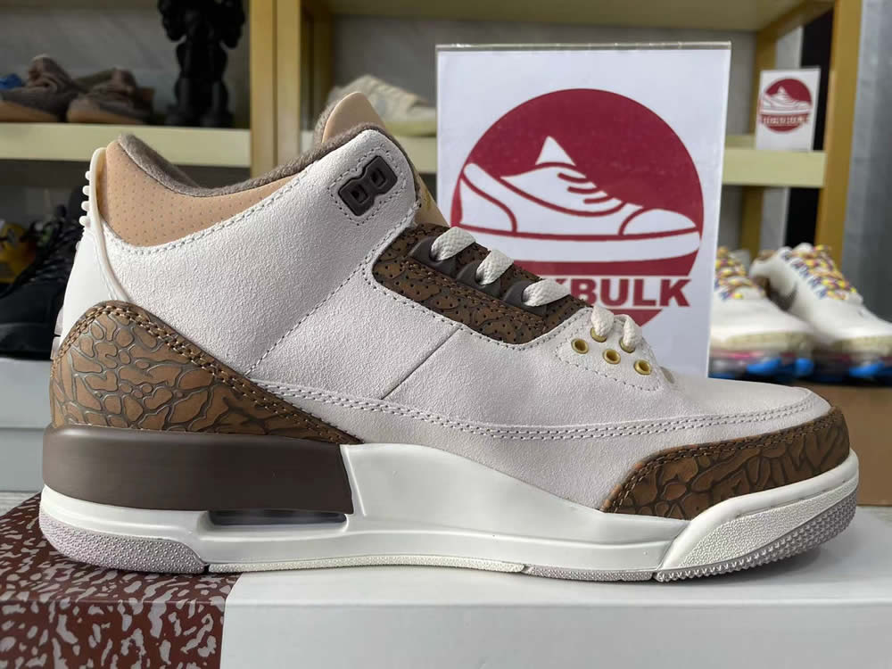 Air Jordan 3 Retro Palomino Ct8532 102 14 - www.kickbulk.cc