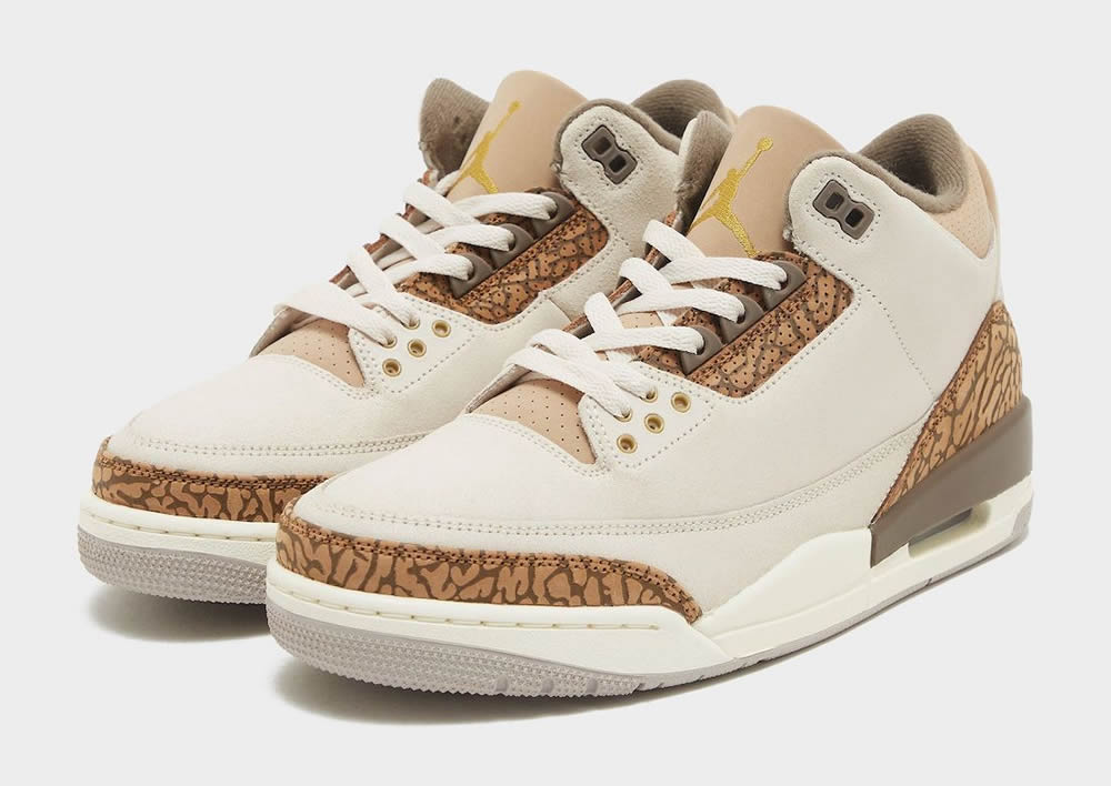 Air Jordan 3 Retro Palomino Ct8532 102 3 - www.kickbulk.cc