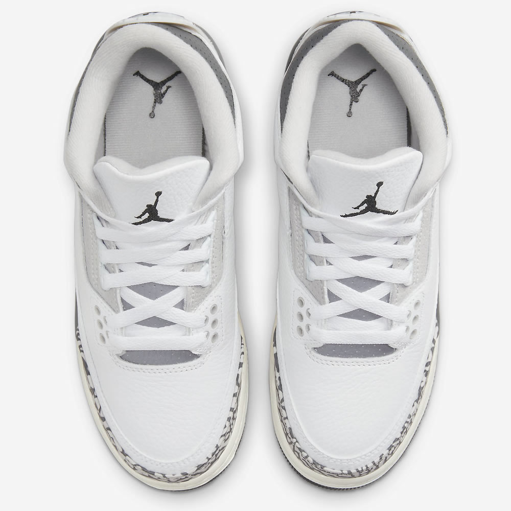 Air Jordan 3 Retro Gs Hide N Sneak Dx6665 100 2 - www.kickbulk.cc