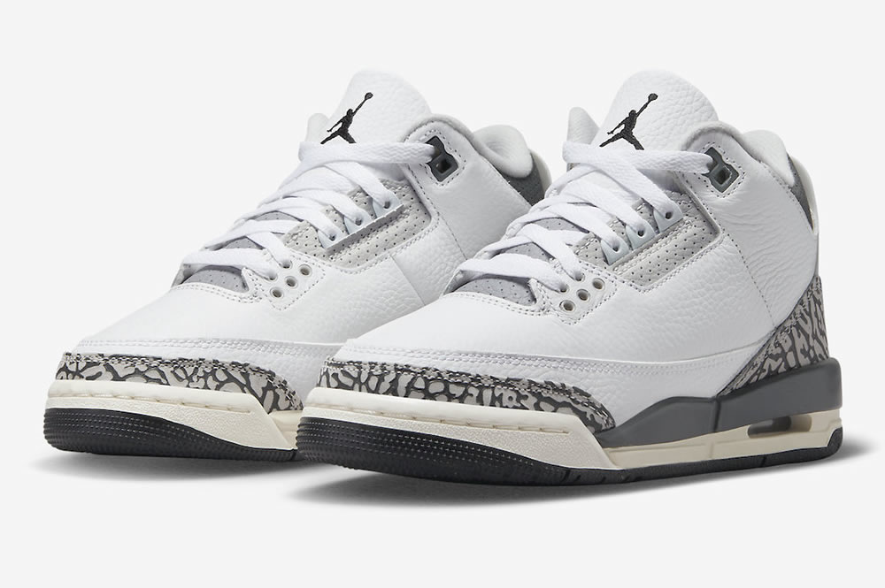 Air Jordan 3 Retro Gs Hide N Sneak Dx6665 100 3 - www.kickbulk.cc