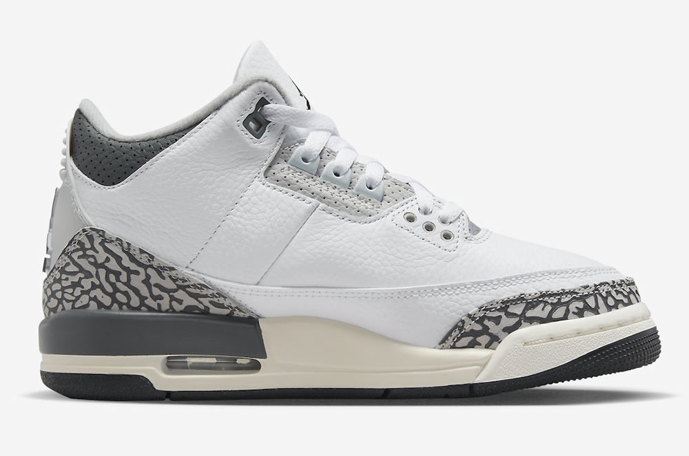 Air Jordan 3 Retro Gs Hide N Sneak Dx6665 100 5 - www.kickbulk.cc