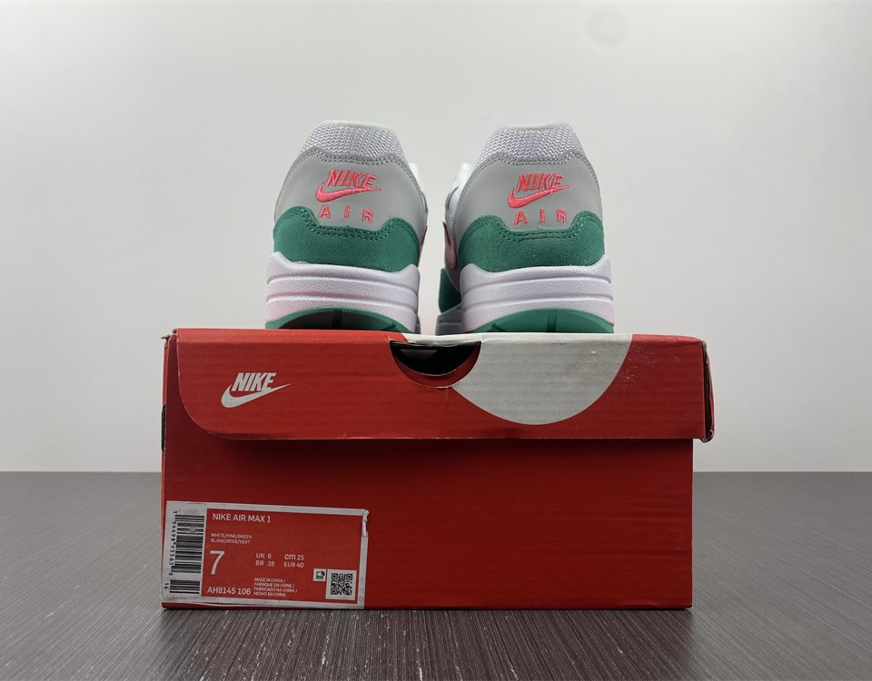 Nike Air Max 1 Watermelon Ah8145 106 14 - www.kickbulk.cc