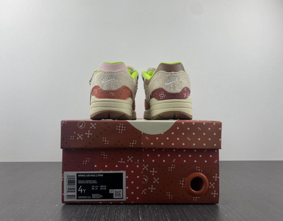 Nike Air Max 1 Prm Womans Best Friend Wmns Dr2553 111 16 - www.kickbulk.cc