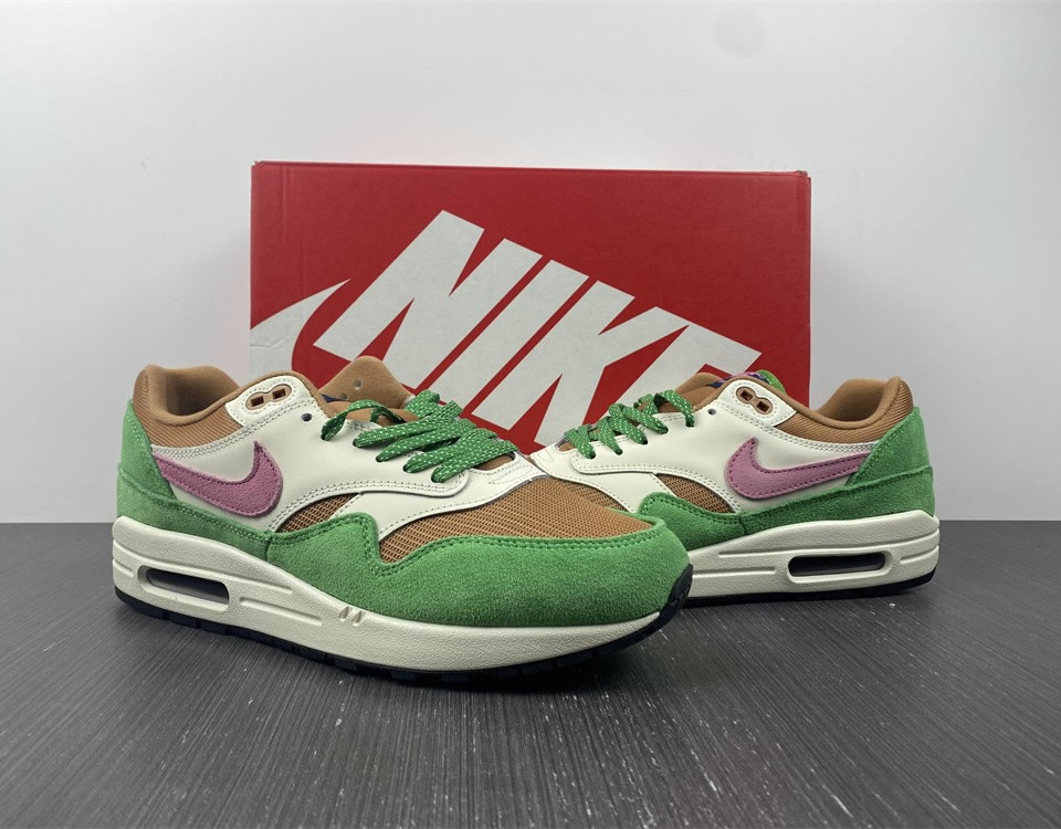 Nike Air Max 1 Nh Treeline Dr9773 300 12 - www.kickbulk.cc