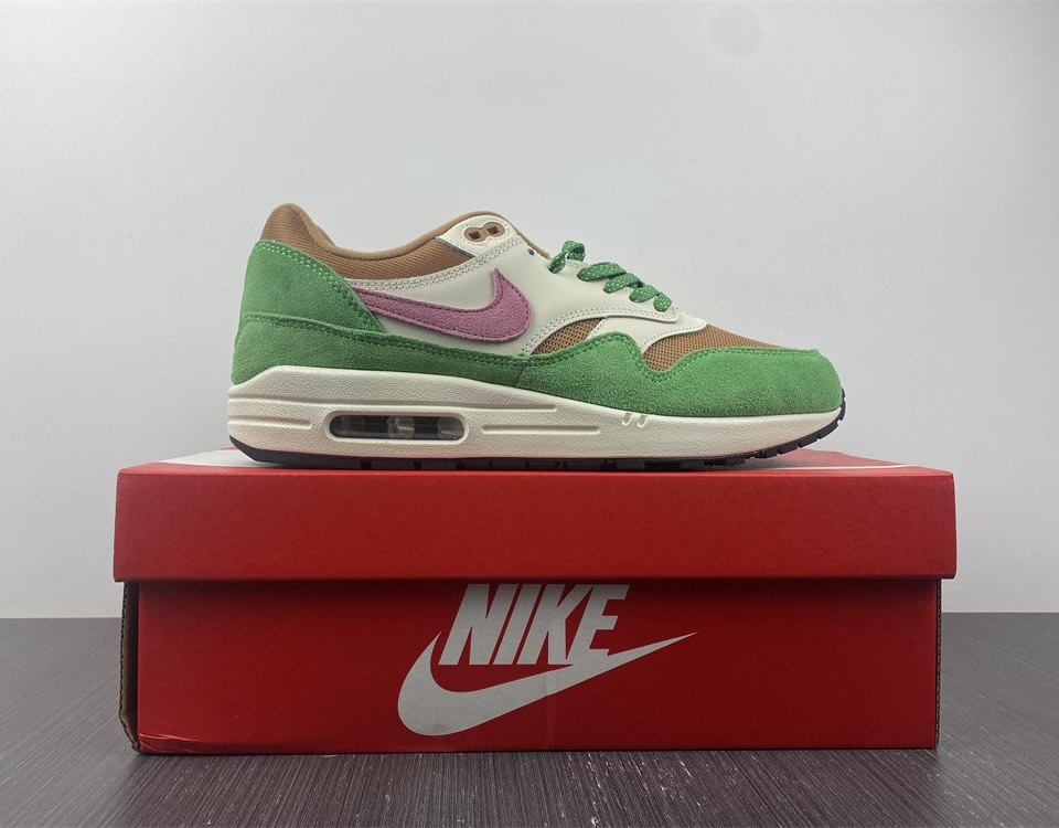 Nike Air Max 1 Nh Treeline Dr9773 300 15 - www.kickbulk.cc