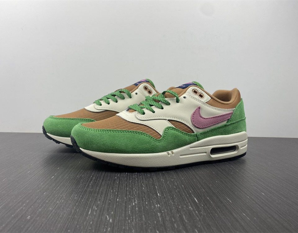 Nike Air Max 1 Nh Treeline Dr9773 300 6 - www.kickbulk.cc