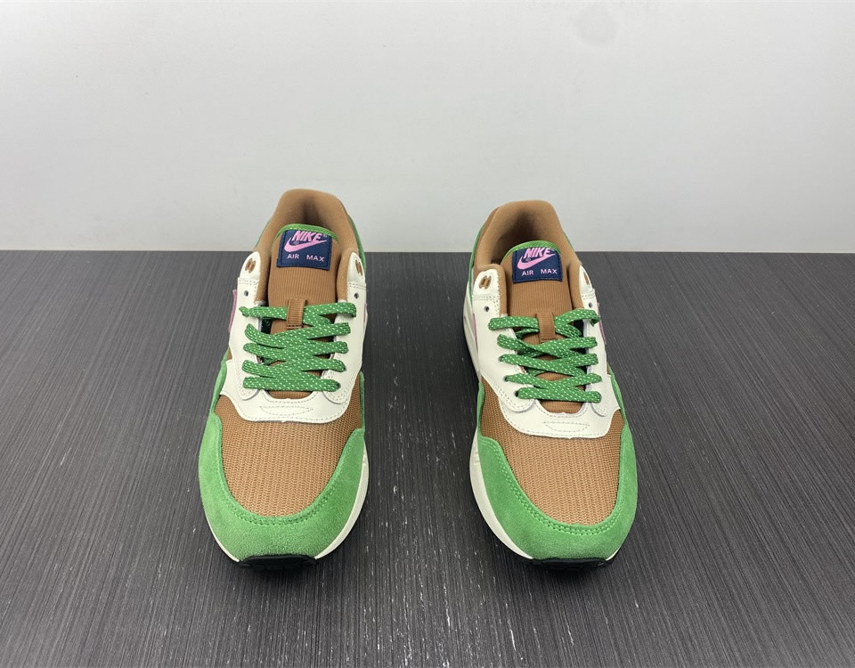 Nike Air Max 1 Nh Treeline Dr9773 300 7 - www.kickbulk.cc