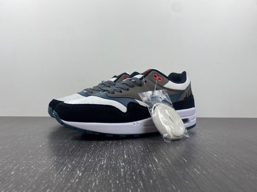 Air Max 1 Premium Escape Fj0698 100 7 - www.kickbulk.cc