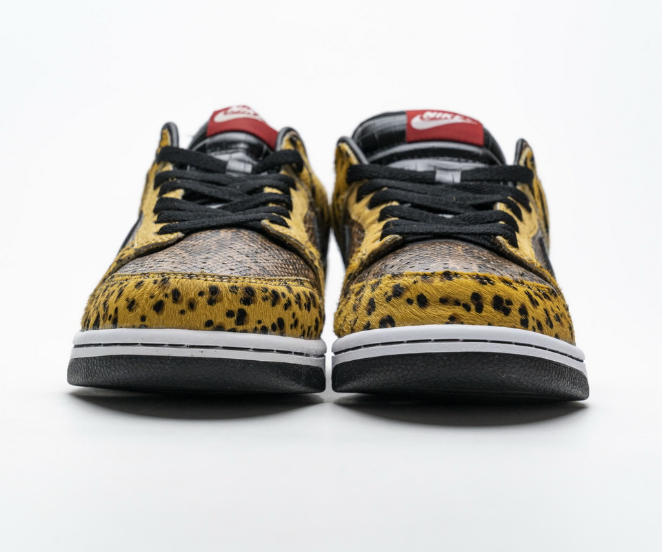 Nike Dunk Low Premium Beast Pack 312919 001 5 - www.kickbulk.cc