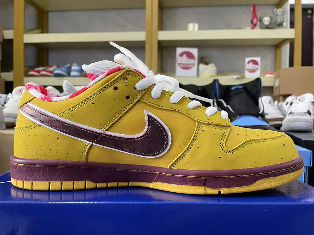 Nike Dunk Low Premium Sb Yellow Lobster 313170 137566 10 - www.kickbulk.cc