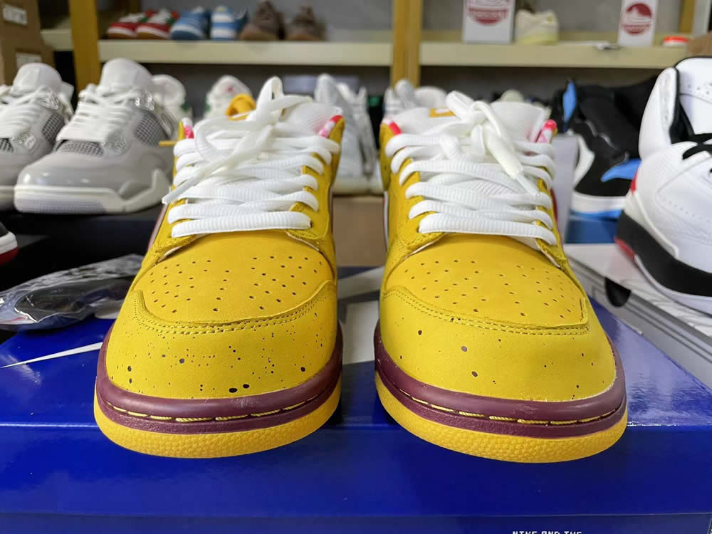 Nike Dunk Low Premium Sb Yellow Lobster 313170 137566 3 - www.kickbulk.cc