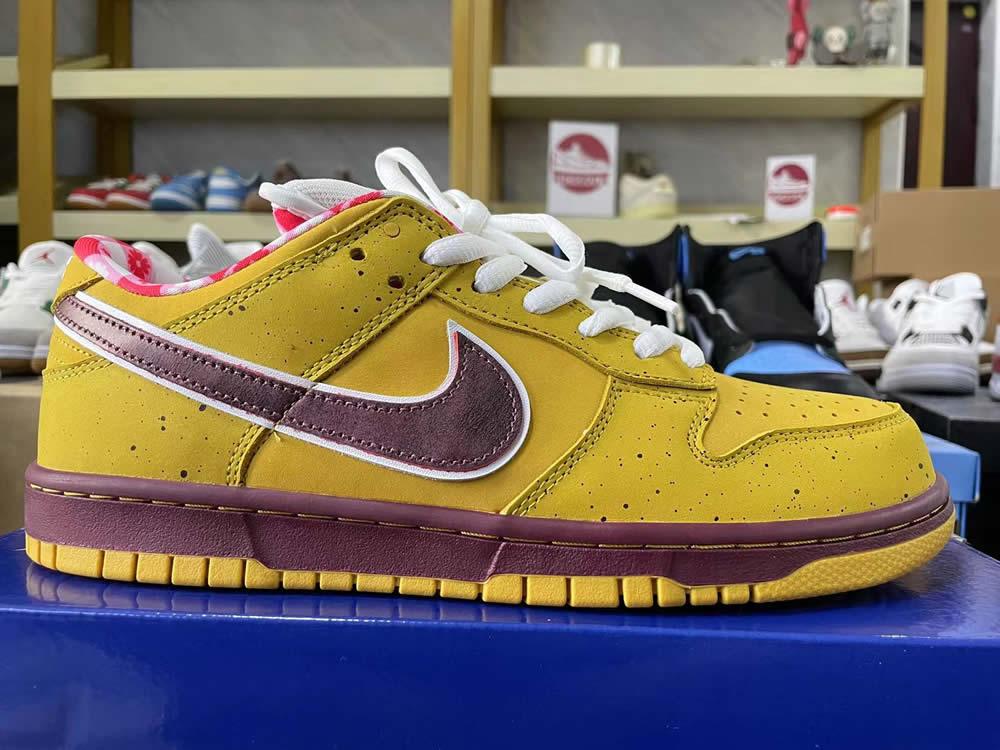 Nike Dunk Low Premium Sb Yellow Lobster 313170 137566 7 - www.kickbulk.cc