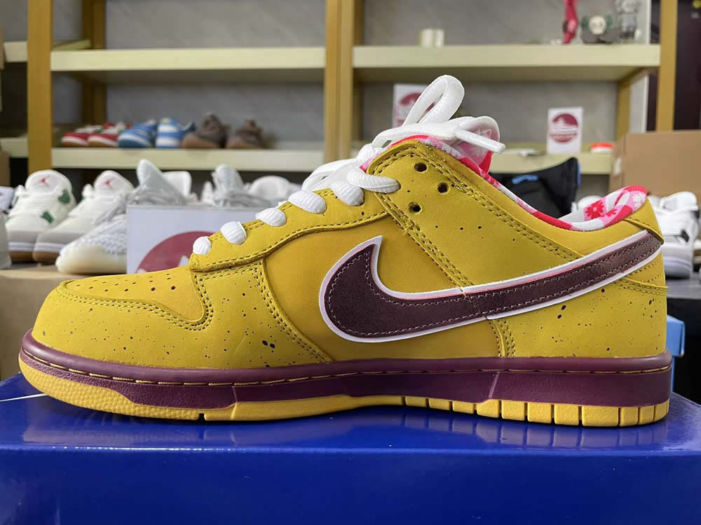 Nike Dunk Low Premium Sb Yellow Lobster 313170 137566 8 - www.kickbulk.cc