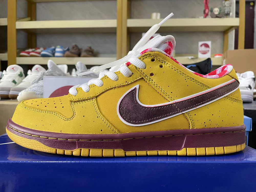 Nike Dunk Low Premium Sb Yellow Lobster 313170 137566 9 - www.kickbulk.cc