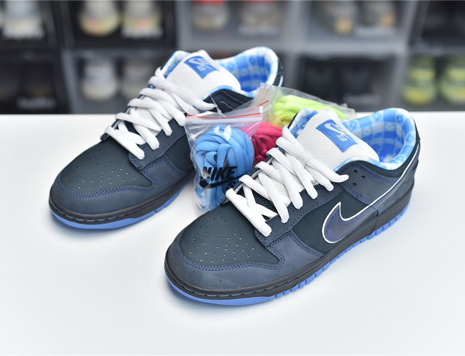 Nike Dunk Sb Low Blue Lobster 313170 342 2 - www.kickbulk.cc