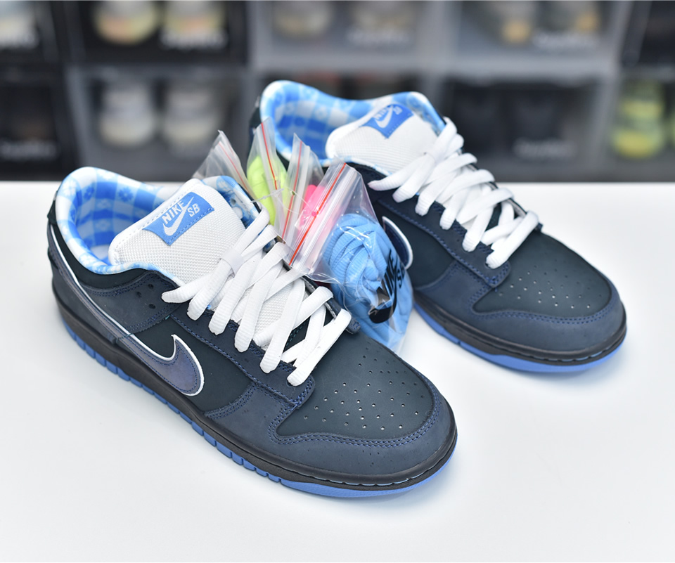 Nike Dunk Sb Low Blue Lobster 313170 342 3 - www.kickbulk.cc