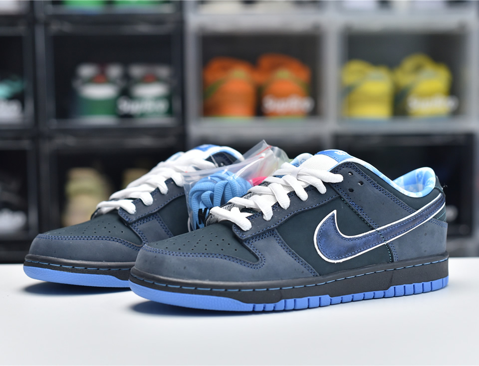 Nike Dunk Sb Low Blue Lobster 313170 342 4 - www.kickbulk.cc