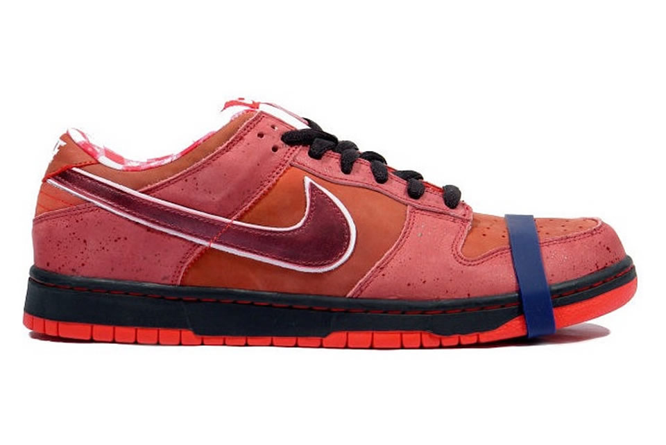 Nike Dunk Low Premium Sb Lobster 313170 661 4 - www.kickbulk.cc