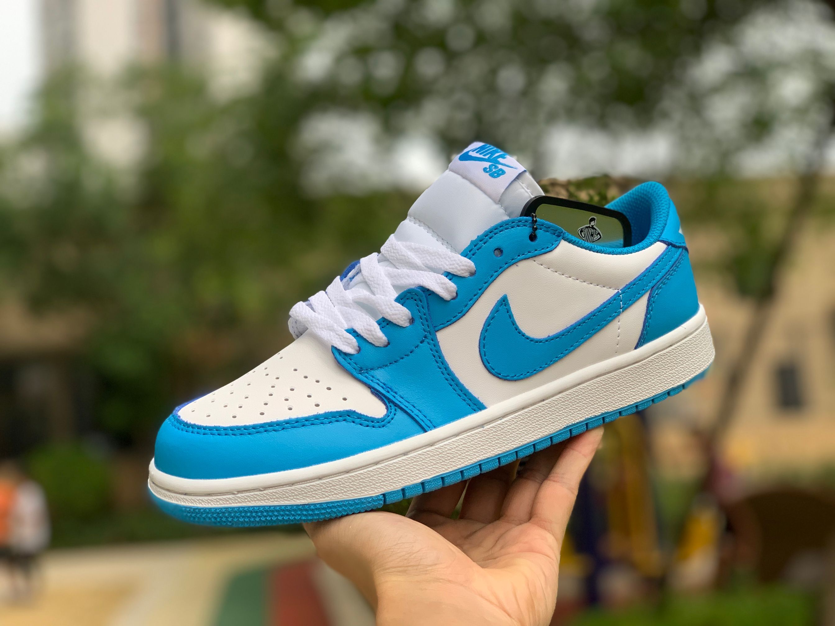 Nike Sb Air Jordan 1 Low Unc Blue White Cj7891 401 16 - www.kickbulk.cc