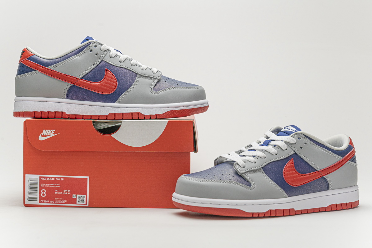 Nike Dunk Low Retro Samba 2020 Cz2667 400 9 - www.kickbulk.cc