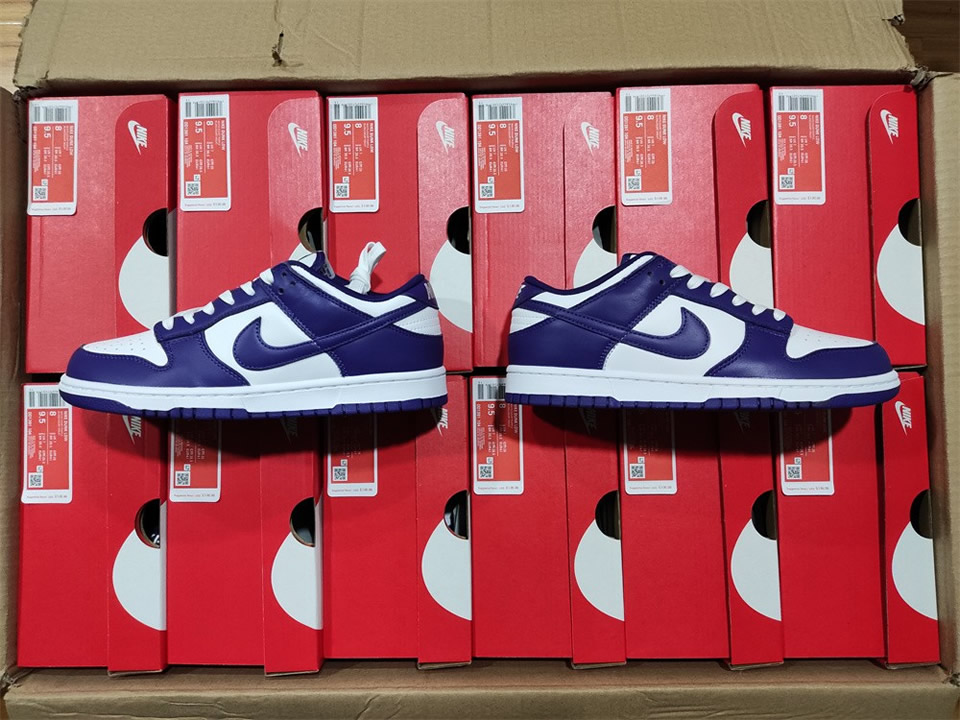 Nike Dunk Low Championship Purple Dd1391 104 0 - www.kickbulk.cc