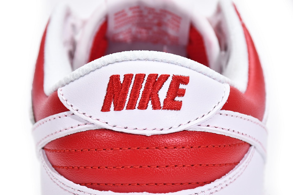 Nike Sb Dunk Low University Red Dd1391 600 11 - www.kickbulk.cc