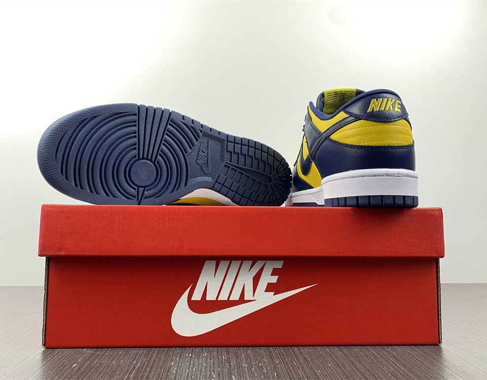 Nike Dunk Low Michigan 2021 Dd1391 700 13 - www.kickbulk.cc