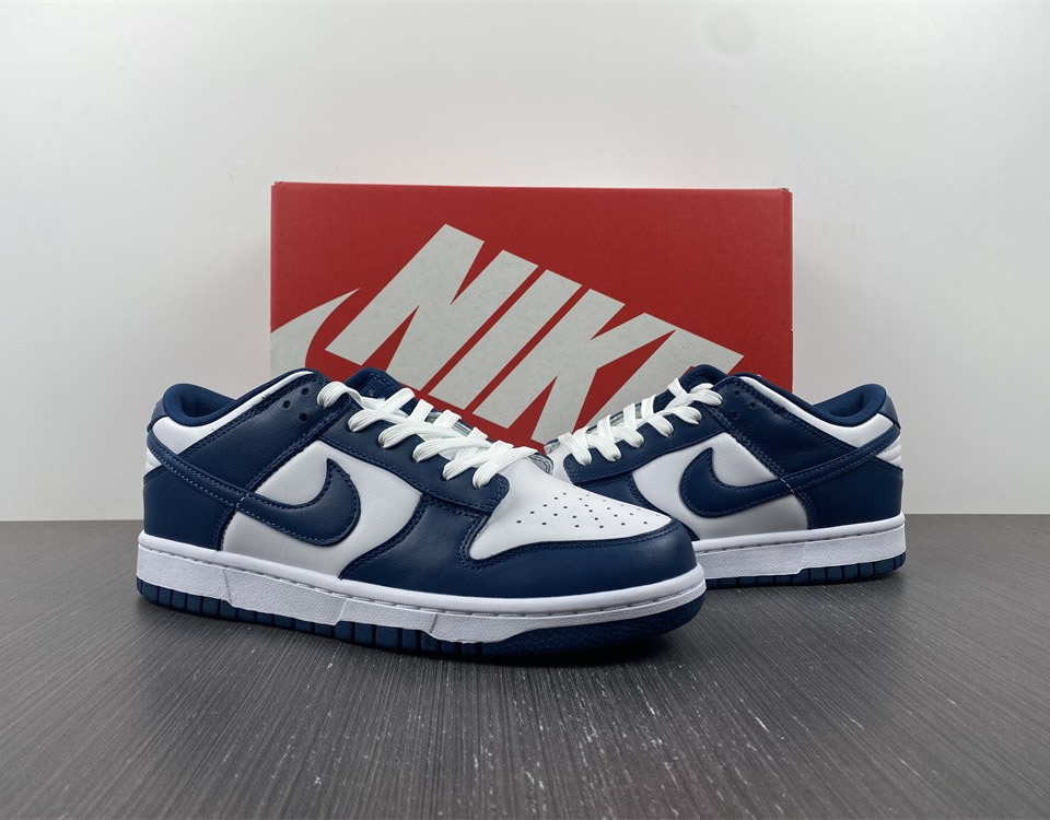 Nike Dunk Low Valerian Blue Dd1391 400 11 - www.kickbulk.cc