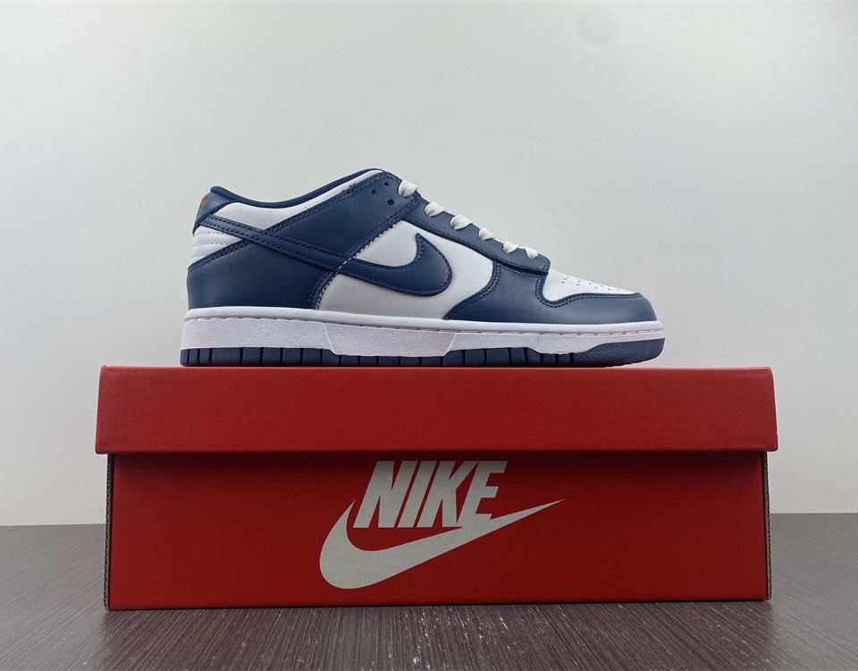 Nike Dunk Low Valerian Blue Dd1391 400 15 - www.kickbulk.cc