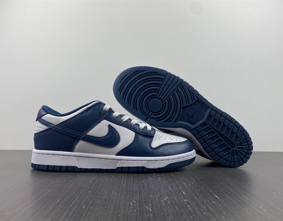 Nike Dunk Low Valerian Blue Dd1391 400 8 - www.kickbulk.cc