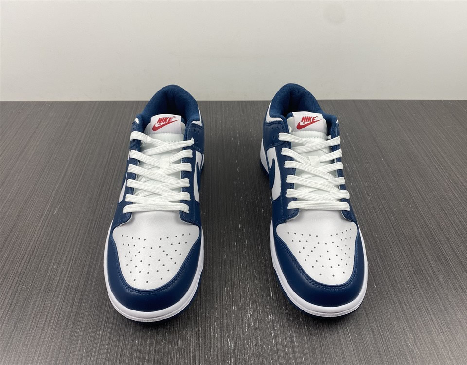 Nike Dunk Low Valerian Blue Dd1391 400 9 - www.kickbulk.cc