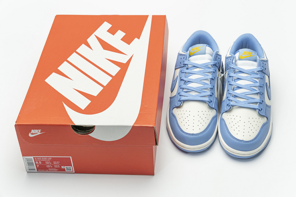 Nike Sb Dunk Low Coast Blue Dd1503 100 5 - www.kickbulk.cc