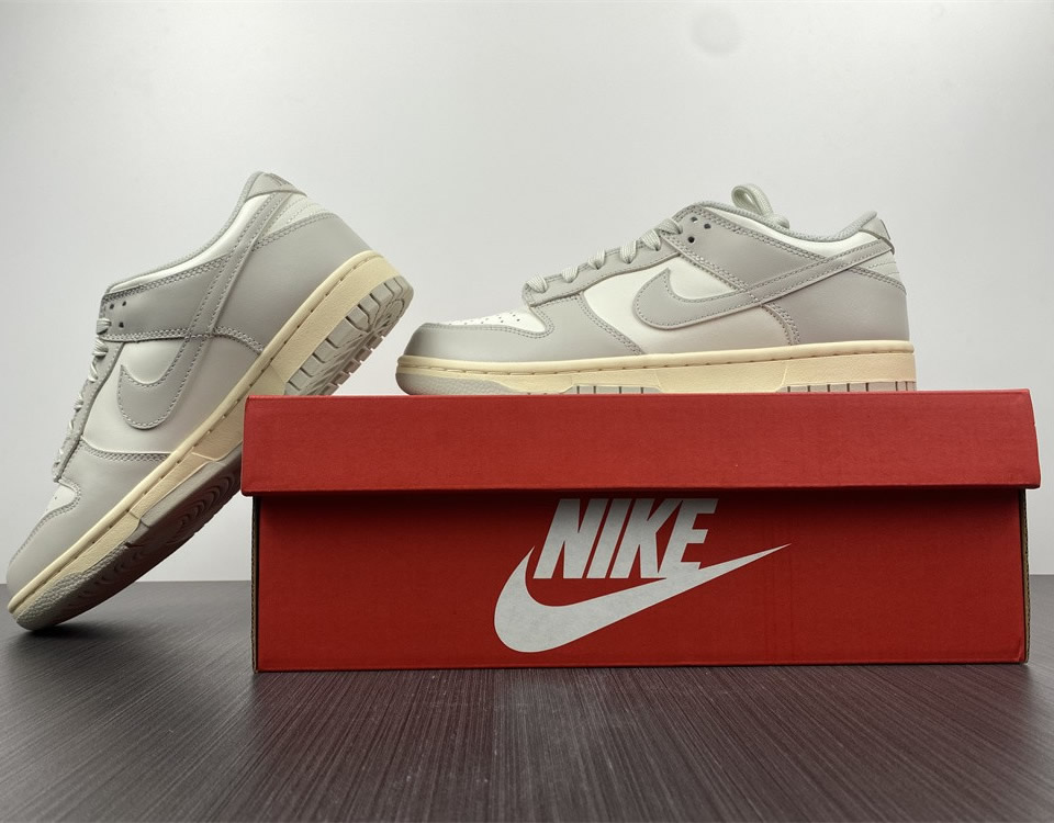 Nike Dunk Low Light Bone Wmns Dd1503 107 21 - www.kickbulk.cc