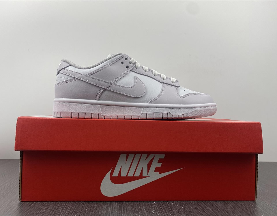 Nike Dunk Low Light Violet Wmns Dd1503 116 15 - www.kickbulk.cc