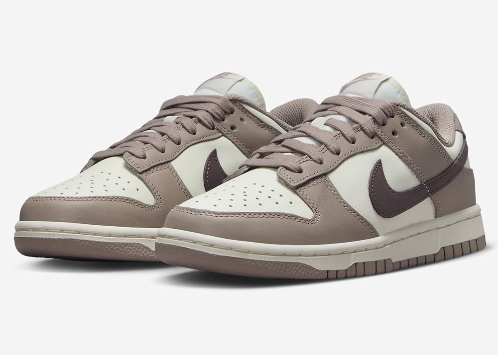 Nike Dunk Low Diffused Taupe Wmns Dd1503 125 3 - www.kickbulk.cc