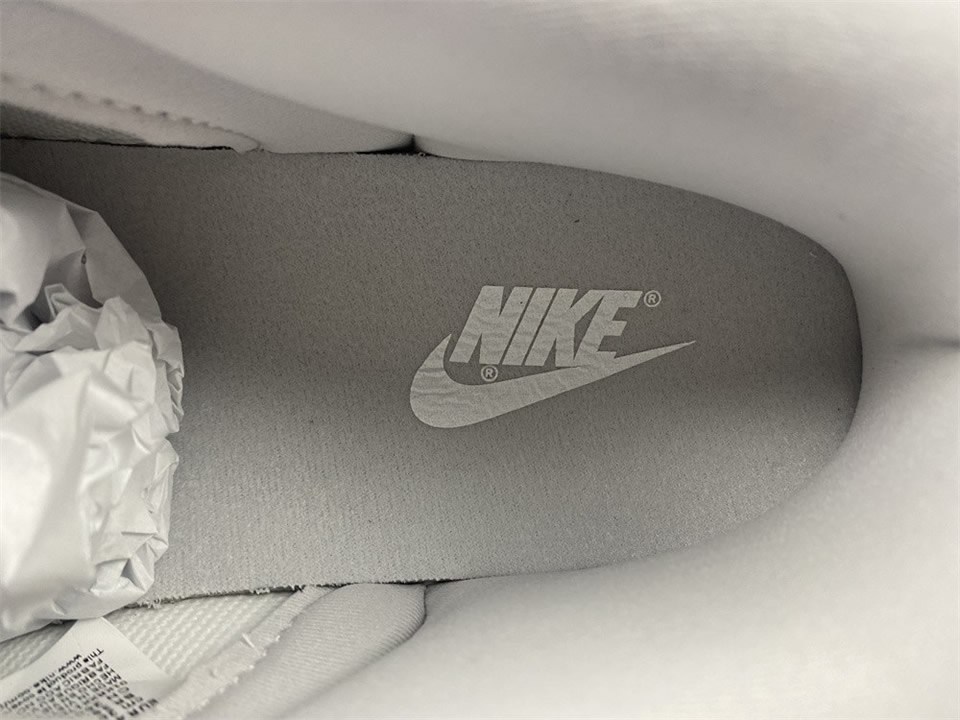Nike Dunk Low Premium Vast Grey Dd8338 001 21 - www.kickbulk.cc