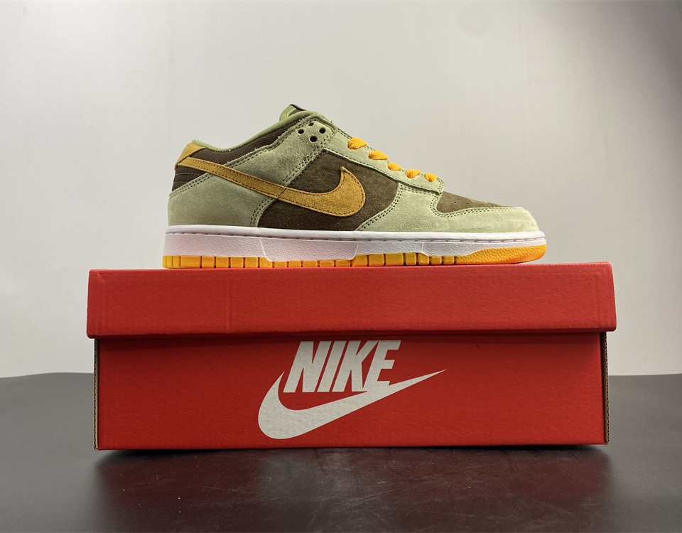 Nike Dunk Sb Low Dusty Olive Dh5360 300 20 - www.kickbulk.cc