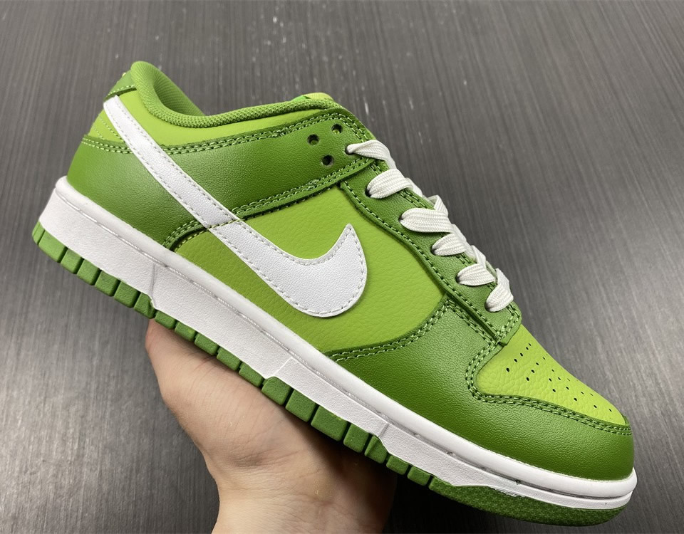 Nike Dunk Low Retro Chlorophyll Dj6188 300 10 - www.kickbulk.cc