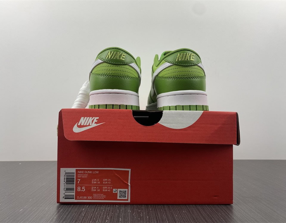 Nike Dunk Low Retro Chlorophyll Dj6188 300 14 - www.kickbulk.cc