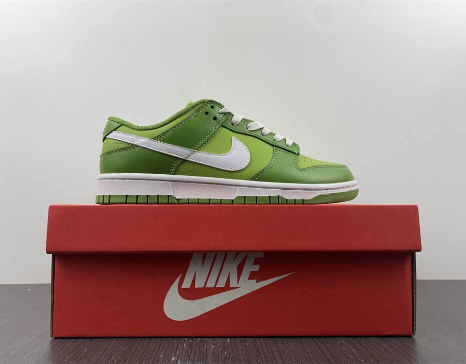 Nike Dunk Low Retro Chlorophyll Dj6188 300 15 - www.kickbulk.cc