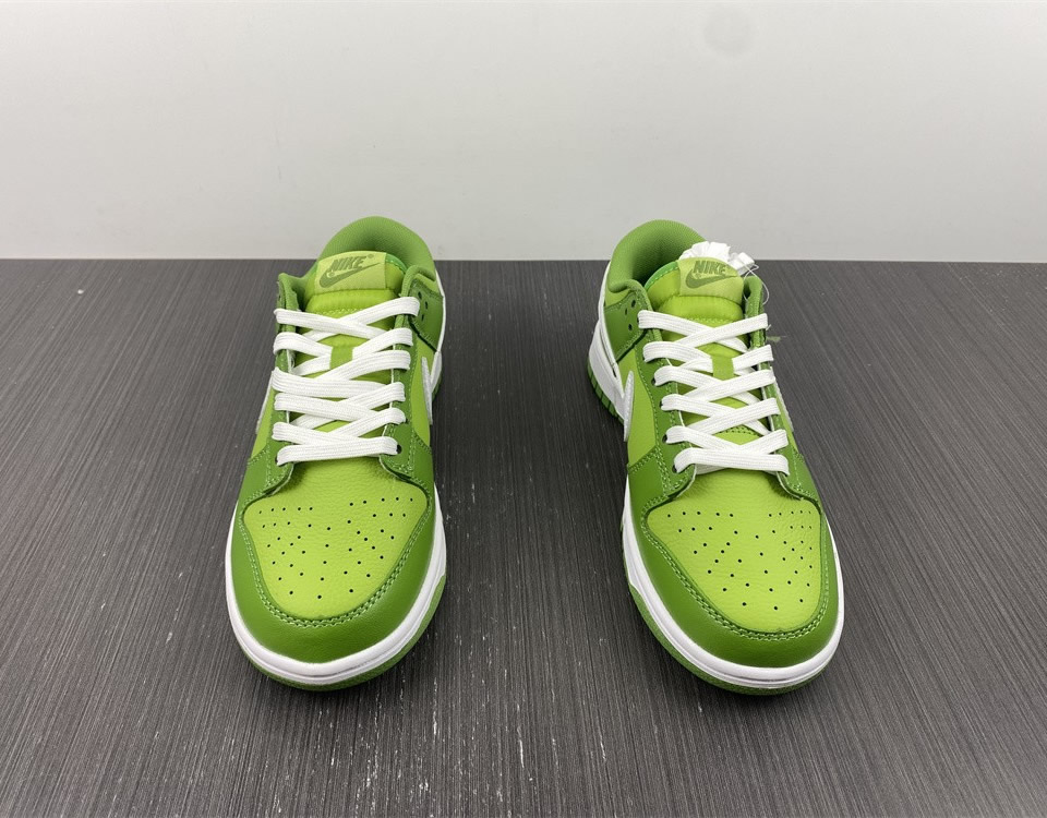 Nike Dunk Low Retro Chlorophyll Dj6188 300 9 - www.kickbulk.cc