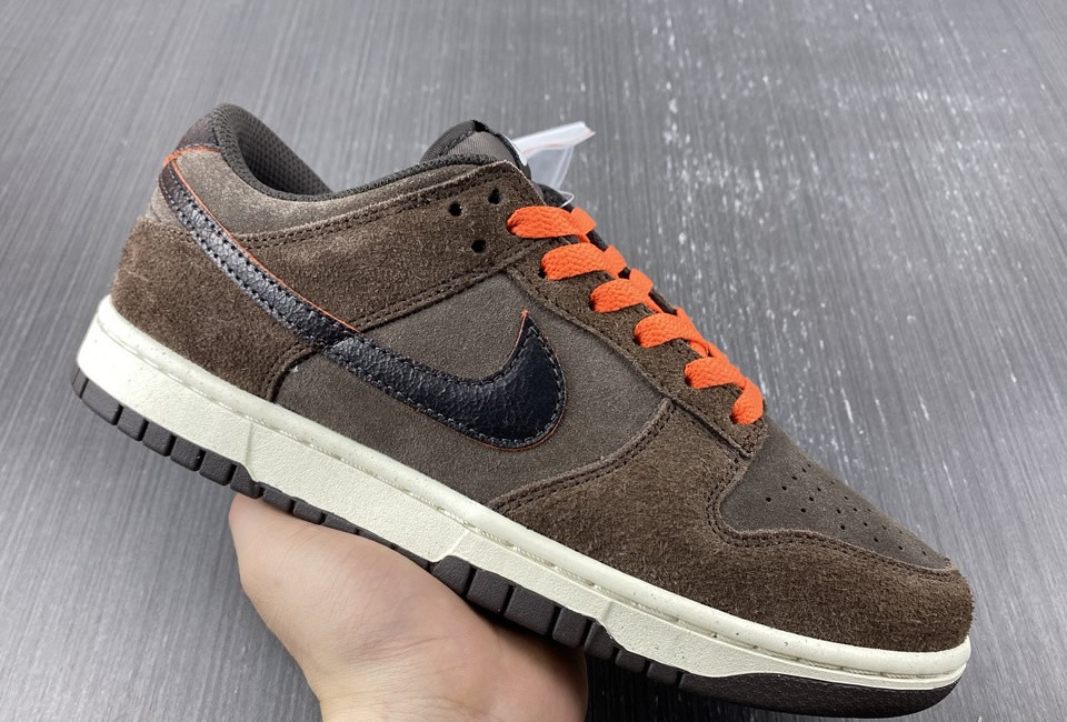 Nike Dunk Low Retro Premium Baroque Brown Dq8801 200 10 - www.kickbulk.cc