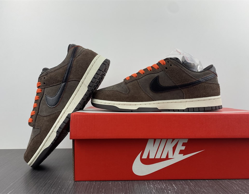 Nike Dunk Low Retro Premium Baroque Brown Dq8801 200 11 - www.kickbulk.cc