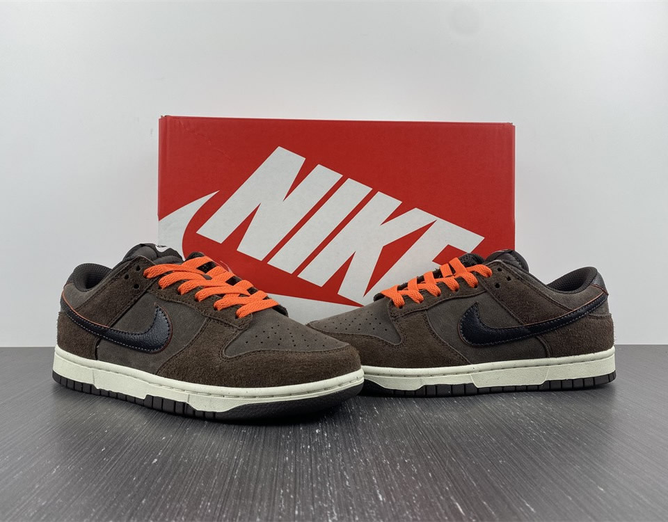 Nike Dunk Low Retro Premium Baroque Brown Dq8801 200 13 - www.kickbulk.cc