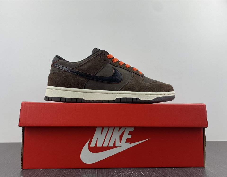 Nike Dunk Low Retro Premium Baroque Brown Dq8801 200 15 - www.kickbulk.cc