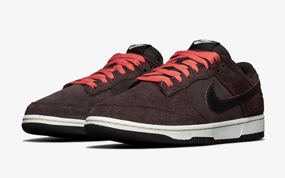 Nike Dunk Low Retro Premium Baroque Brown Dq8801 200 3 - www.kickbulk.cc