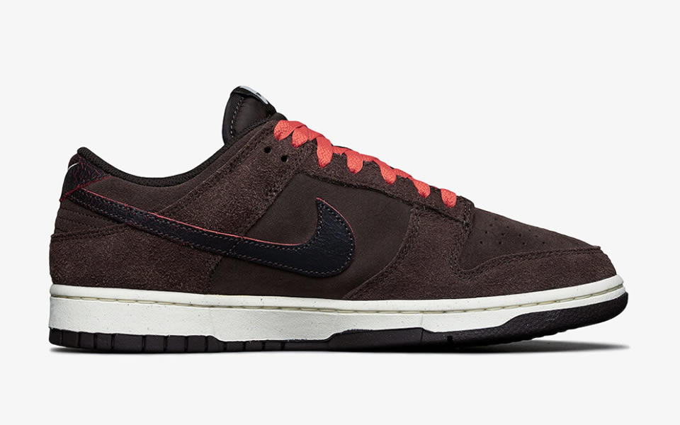 Nike Dunk Low Retro Premium Baroque Brown Dq8801 200 5 - www.kickbulk.cc