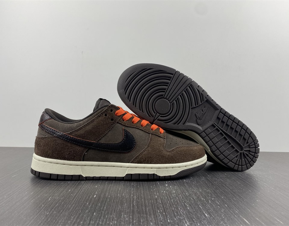 Nike Dunk Low Retro Premium Baroque Brown Dq8801 200 9 - www.kickbulk.cc