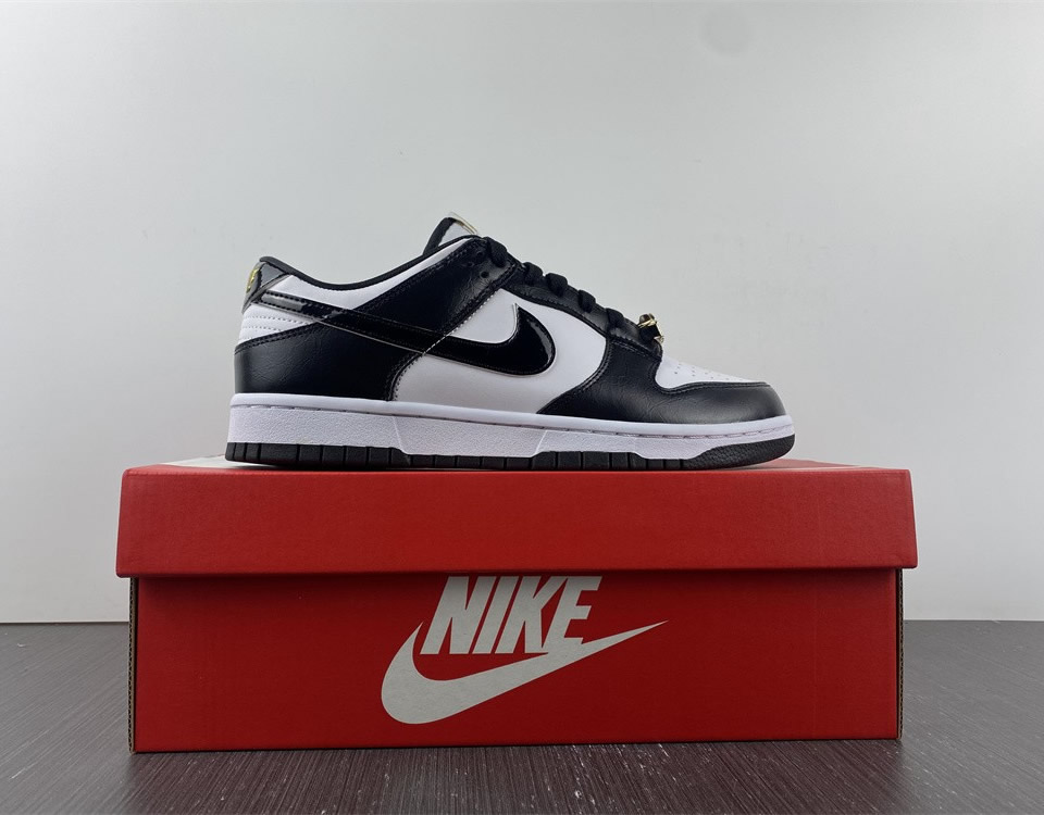 Nike Dunk Low World Champ Dr9511 100 15 - www.kickbulk.cc