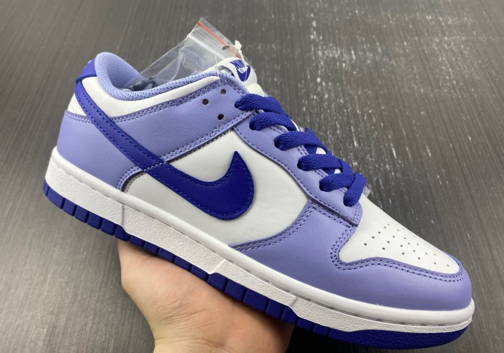 Nike Dunk Low Gs Blueberry Dz4456 100 10 - www.kickbulk.cc